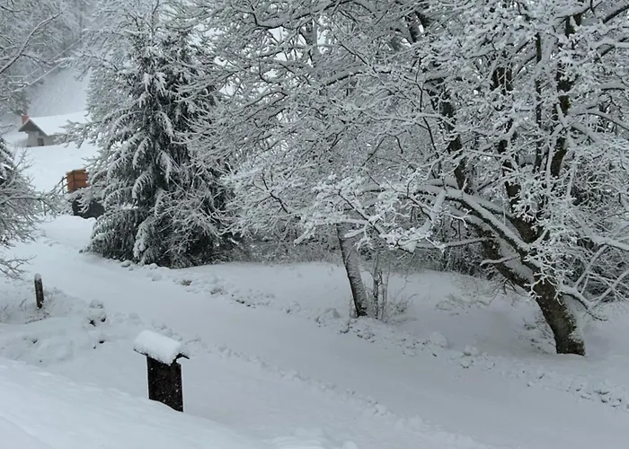 Roubenka Pod Hvězdami * Strážné